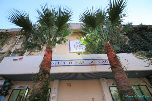 deuda mecanismo Accidentalmente ▷10 MEJORES Institutos de El Puerto de Santa María, Cádiz, Ranking Micole  2023
