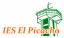 Logo de El Picacho