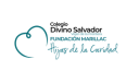 Logo de Colegio Divino Salvador