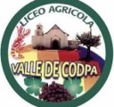 Logo de Liceo Agrícola Valle De Codpa