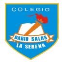 Logo de Colegio Dario Salas
