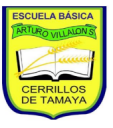 Logo de Col·legi Arturo Villalon Sieulanne