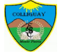 Logo de Escuela Básica Colliguay