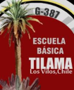Logo de Colegio Tilama