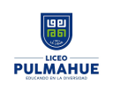 Logo de Colegio Pulmahue 