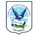 Logo de Liceo Maximiliano Salas Marchan