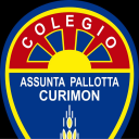 Logo de Colegio Assunta Pallota