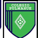 Logo de Col·legi Tecnológico Pulmahue 