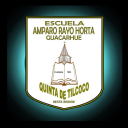 Logo de Colegio Amparo Rayo Horta
