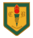 Logo de Colegio Consolidado
