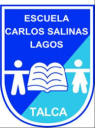 Logo de Escuela Carlos Salinas Lagos