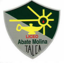 Logo de Liceo Abate Molina