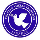 Logo de Colegio Amelia Troncoso