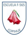 Logo de Escuela Copihue