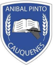 Logo de Escuela Aníbal Pinto