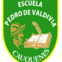 Logo de Colegio Pedro De Valdivia