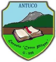 Logo de Colegio Cerro Pilque