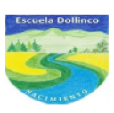 Logo de Escuela Básica Dollinco