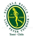 Logo de Colegio Lisa Enriqueta Peter Teubner