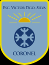 Logo de Colegio Víctor Domingo Silva