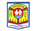 Logo de Colegio Aníbal Esquivel Tapia