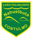 Logo de Colegio Polivalente Nahuelbuta