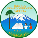 Logo de Colegio Osvaldo Fuentes Barrera