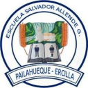 Logo de Escuela Básica Salvador Allende