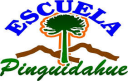 Logo de Escuela Básica Pinguidahue