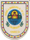 Logo de Escuela Municipal Collimallín