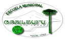 Logo de Escuela  Municipal Carileufu