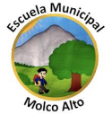 Logo de Escuela Molco Alto