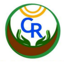 Logo de Escuela  Collico Ranco