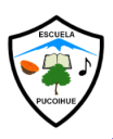 Logo de Colegio Rural Pucoihue