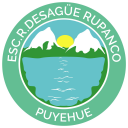 Logo de Escuela  Rural Desague Rupanco