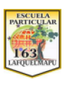Logo de Colegio Particular N.163 Lafquelmapu