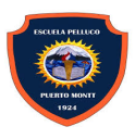 Logo de Col·legi De Pelluco