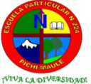 Logo de Colegio N. 224 Pichi Maule