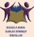 Logo de Colegio Carlos Springer Niklitschek