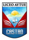 Logo de Liceo Aytue