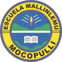 Logo de Col·legi Mallinlemu