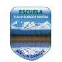Logo de Escuela Tulio Burgos Rivera