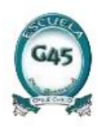 Logo de Escuela G45 Puerto Bertrand