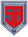 Logo de Colegio Polivalente Sara Braun