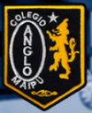 Logo de Colegio Anglo 