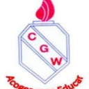 Logo de Colegio George Washington