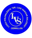 Logo de Colegio Polivalente Dr. Luis Vargas Salcedo