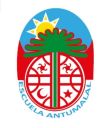 Logo de Colegio Antumalal