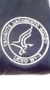 Logo de Colegio Teniente Dagoberto Godoy No.3