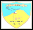 Logo de Liceo Montenegro